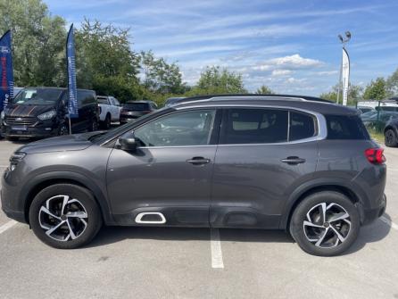 CITROEN C5 Aircross BlueHDi 130ch S&S Feel EAT8 à vendre à Dijon - Image n°8