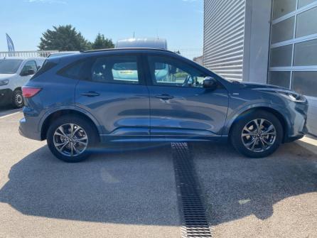 FORD Kuga 2.5 Duratec 190ch FHEV ST-Line BVA à vendre à Dijon - Image n°4