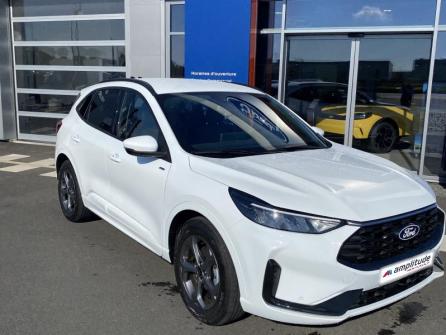 FORD Kuga 2.5 Duratec 180ch Hybrid FlexiFuel ST-Line Powershift à vendre à Châteauroux - Image n°3